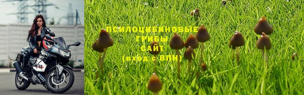 гидра Абдулино