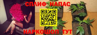 дурь Пугачёв