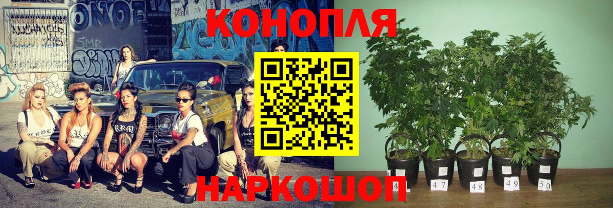 Бошки Шишки THC 21% Тихорецк